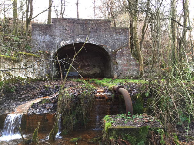 A bricked brick arch among bare trees, with rusty water spilling from a pipe and over a low wall in front.