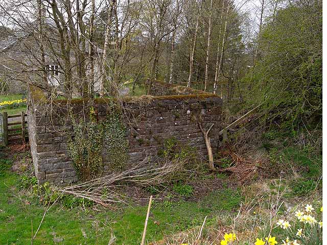 A mossy stone wall enclosing the filled-in shaft top among birch trees and brambles, with daffodils in the foreground.