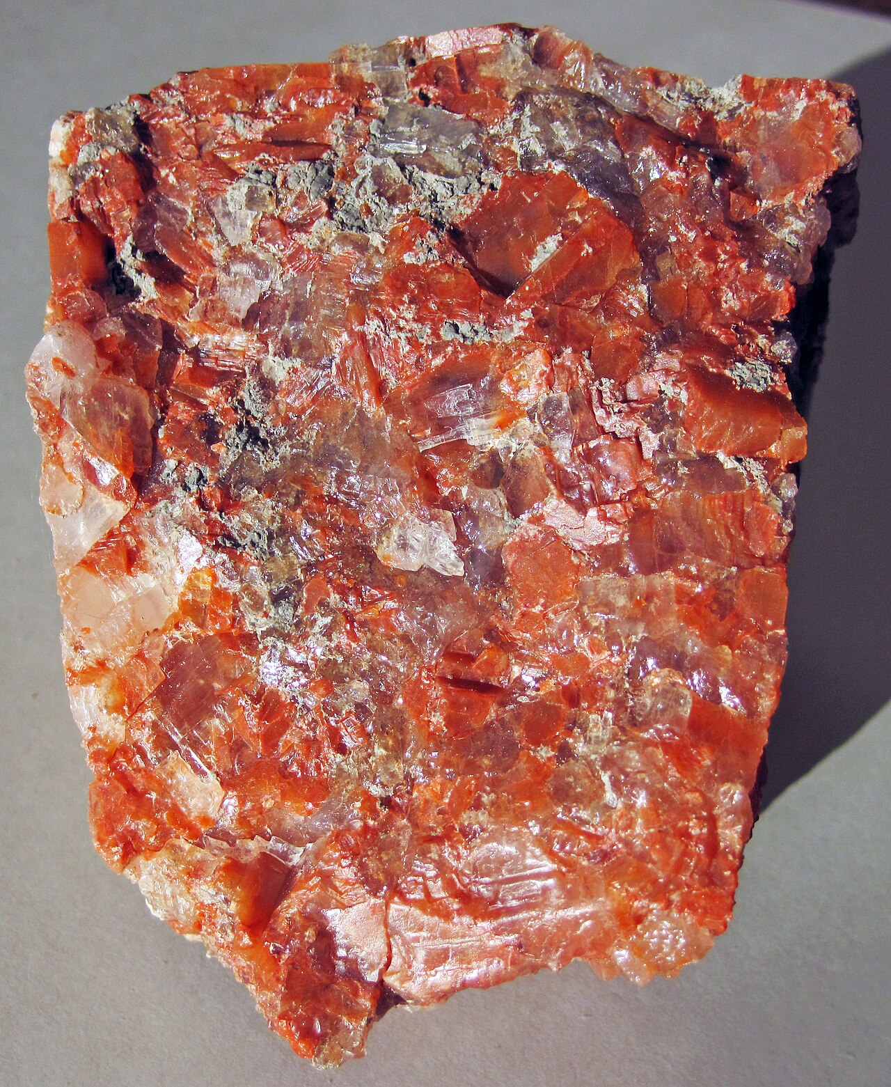 A banded evaporite rock specimen from New Mexico, USA, showing sylvite, halite, carnallite and polyhalite together — illustrative of the layered mineral sequence also found at Boulby.