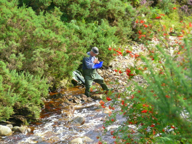 A modern-day gold panner working the stream at Baile an Or in the Strath of Kildonan, Sutherland — the site of Britain's best-documented placer gold rush, using the same basic method as the original 1869 prospectors.