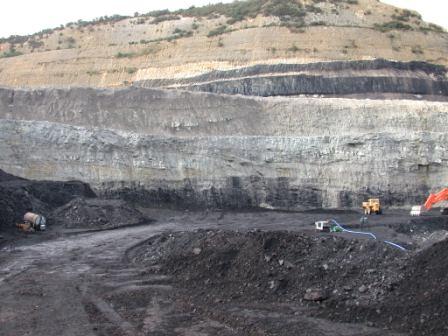 Coal seams exposed in an open-cast working at Kai Point, South Otago, New Zealand — dark, laterally continuous bands within the surrounding sedimentary rock, illustrating the broad, layered shape typical of a sedimentary deposit.