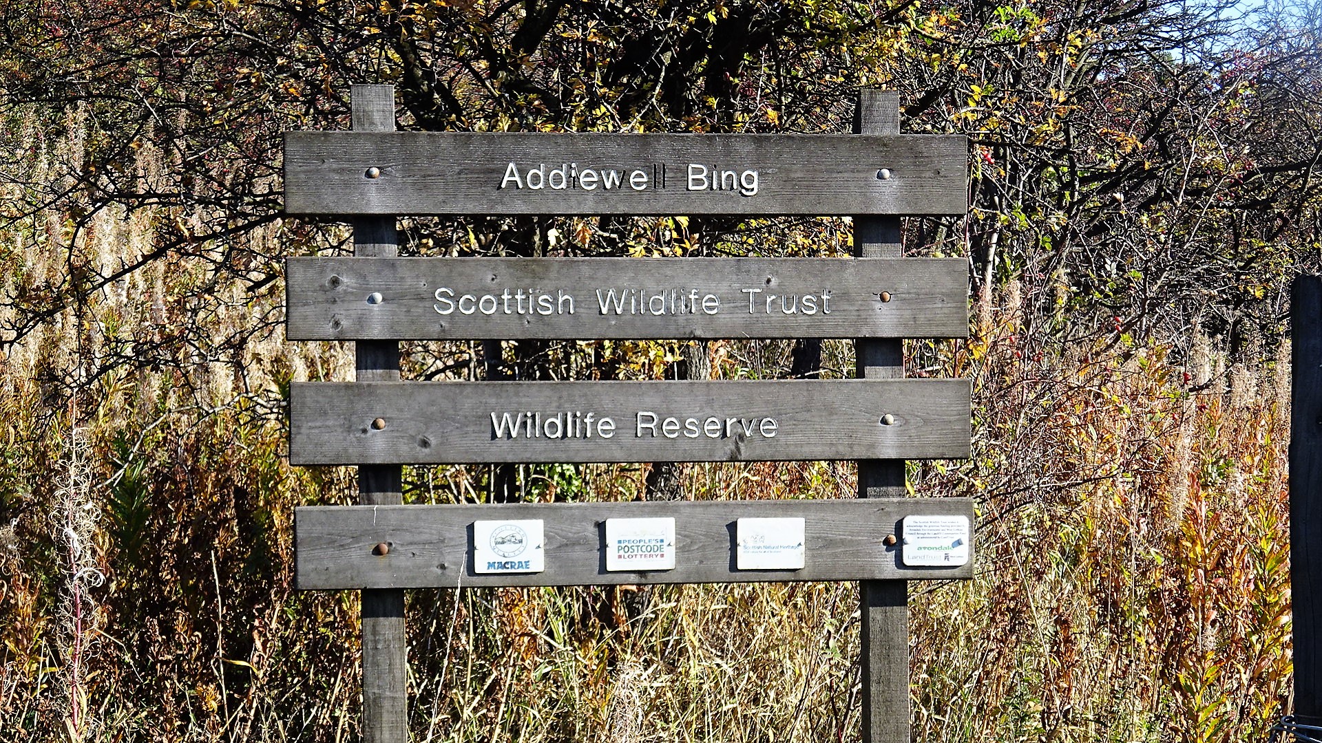 The spent red shale bing raised by the Addiewell works, now grassed over and managed as the Addiewell Bing Local Nature Reserve.