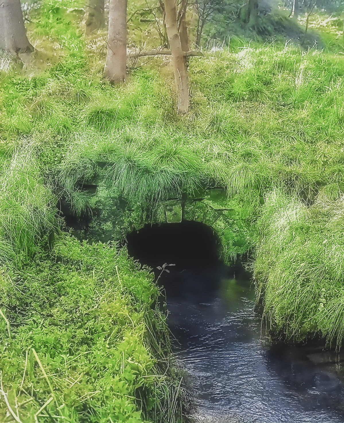 The gritstone arched portal of the Hillcarr Sough, the drainage level that served the Alport lead mines, at Darley Dale.