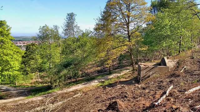 A heavily reinforced concrete powder house standing in cleared woodland above Guisborough, built to store explosives for Belmont ironstone mine.