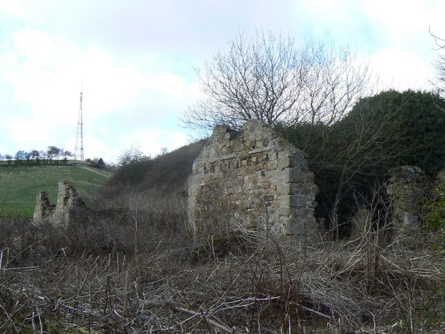 Fragmentary stone ruins of the High Binn village on the hillside above Burntisland, built to house workers at the Binnend shale oil works