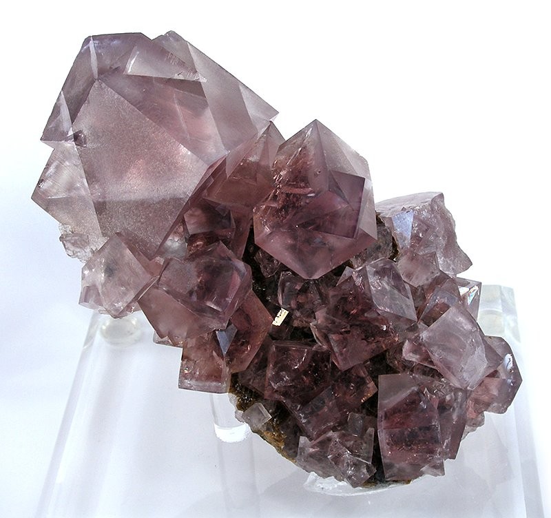 A large purple fluorite crystal specimen from Blackdene Mine, Weardale — a huge end-crystal perched on a stalk of smaller, gemmy, bright purple crystals, dating to the 1920s-1930s.
