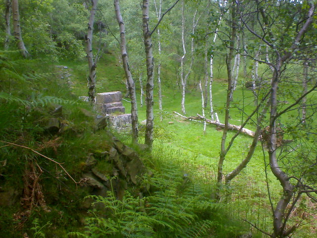 The disused gritstone quarry at Bole Hill above Grindleford, its faces and spoil now grown over with birch.
