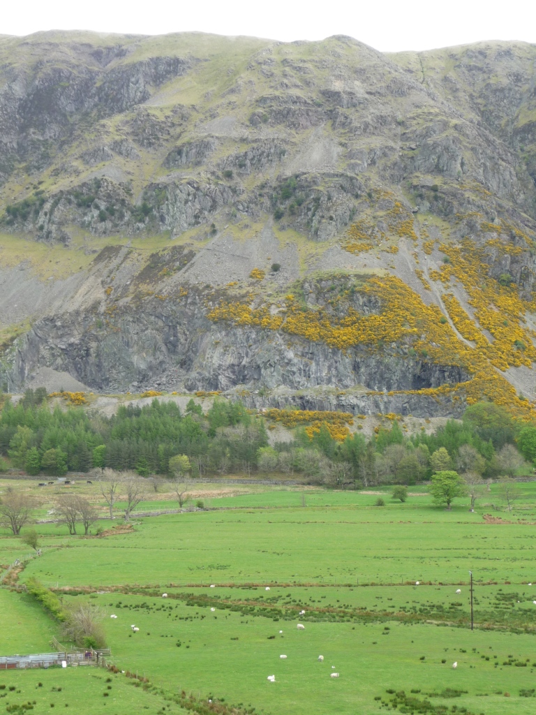 The grey worked face of Bramcrag microgranite quarry cut into the fellside above St John's in the Vale, with scree below it.