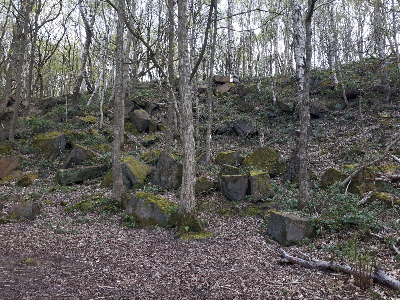 The larger of the disused quarries at Bramley Fall, Leeds, beside the Leeds and Liverpool Canal.