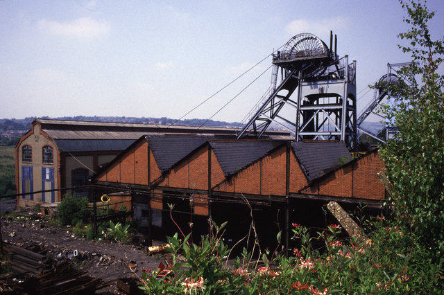 Red-brick colliery buildings and a tall-windowed power house beneath two steel headframes, seen over a bank of wild flowers