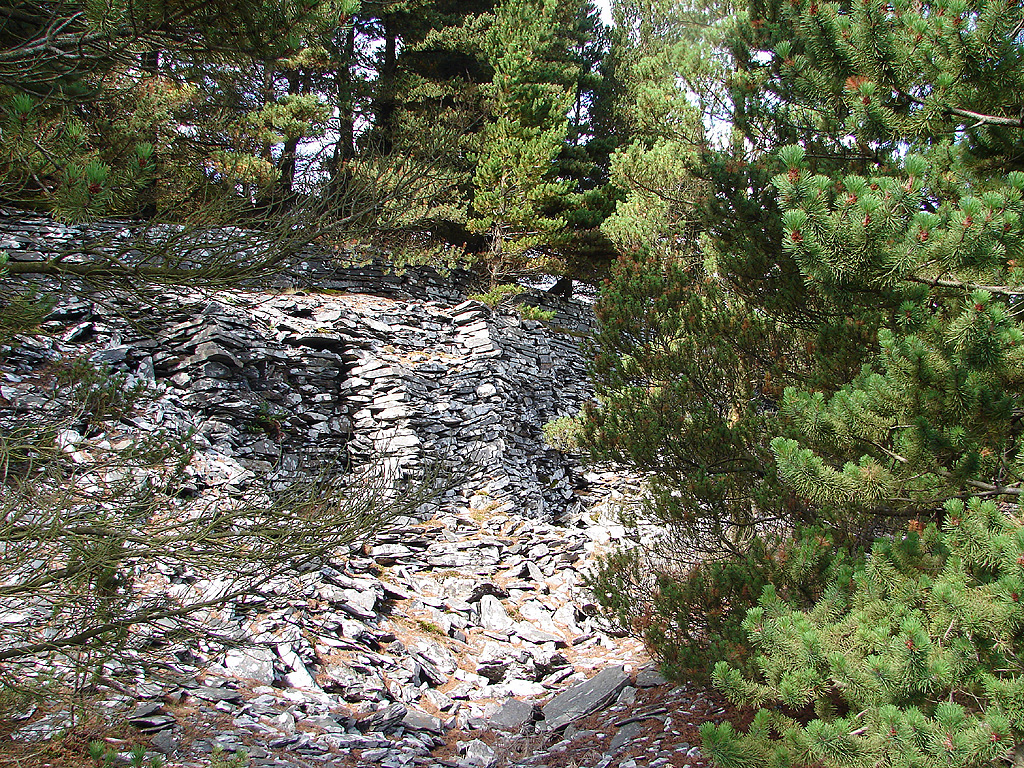 Ruined quarry buildings and worked rock faces surviving among forestry plantation at the former Bryn Eglwys slate quarry.