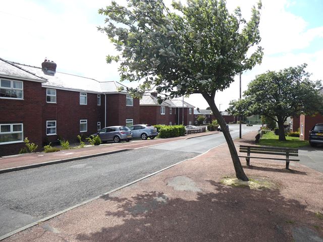 Two-storey red-brick council houses along a curving street with a wind-bent tree and a bench