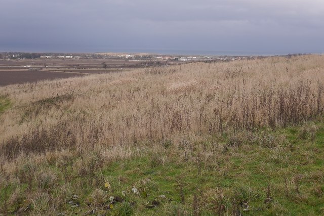 A broad grassed mound with young woodland on its flanks under an open sky, covering the ground where the colliery and later landfill stood.