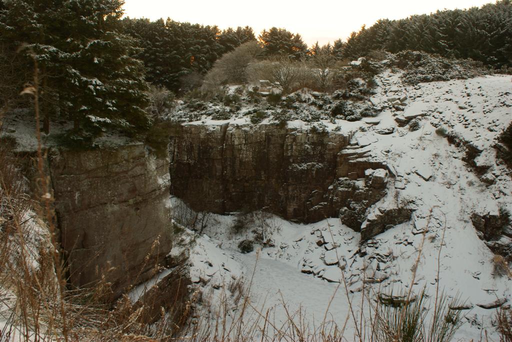 The worked face of the Carmyllie flagstone quarry, showing the bedded sandstone.