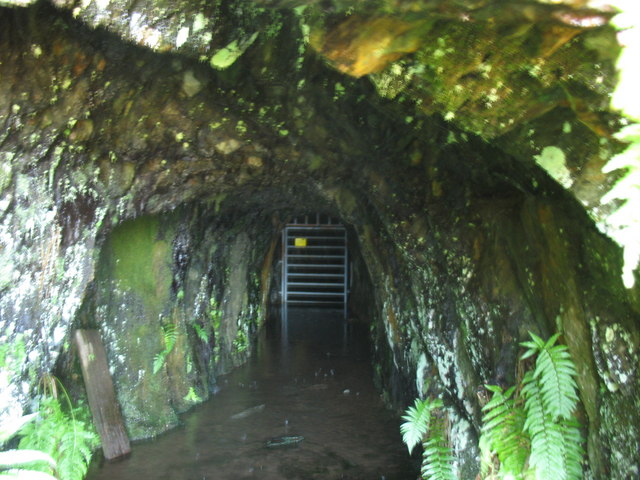 The flooded, securely gated entrance adit at Cefn Coch Gold Mine.