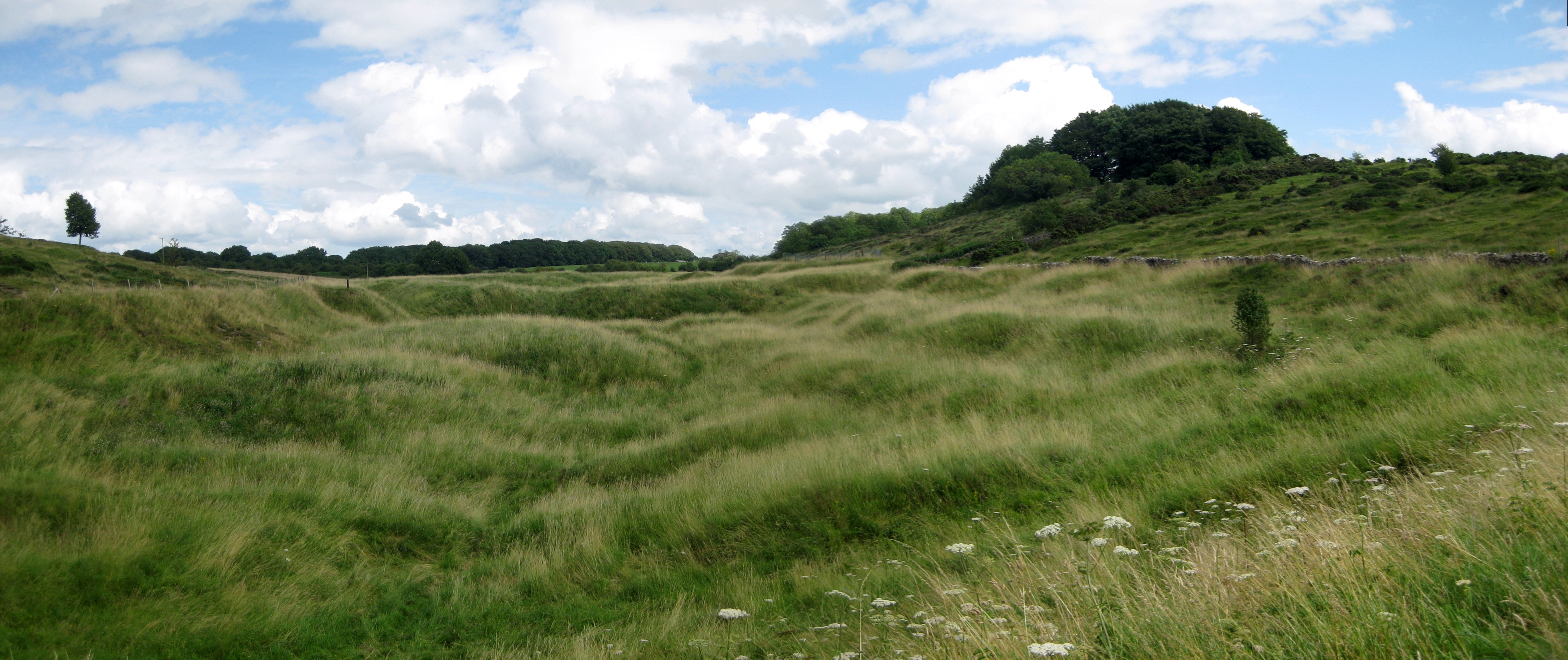 The disturbed 'gruffy ground' landscape left by centuries of shallow lead working at Charterhouse.
