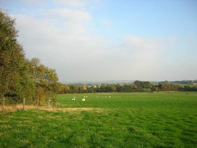 Reclaimed open ground on the site of Chisnall Hall Colliery at Coppull Moor, restored by Lancashire County Council between 1981 and 1983