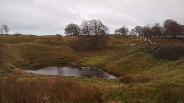 Grassy spoil mounds with sheep grazing around a small dark pond under a grey sky.
