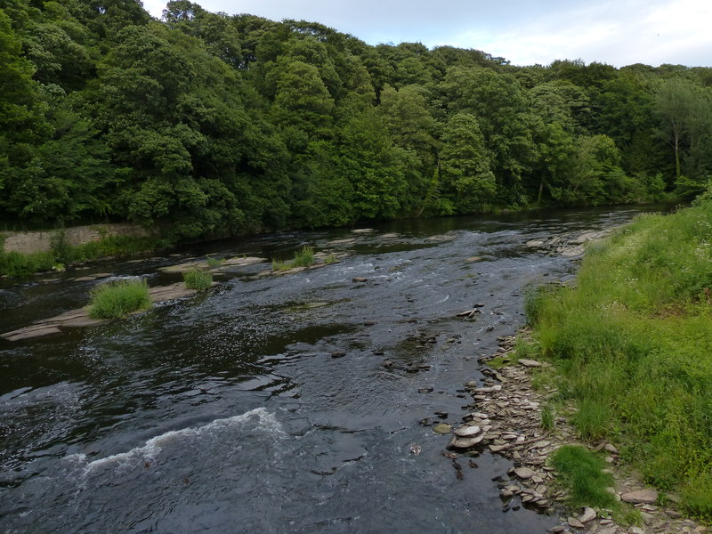 The River Wear running below the steep, densely wooded bank of Cocken Wood, on the high ground above which the colliery stood.