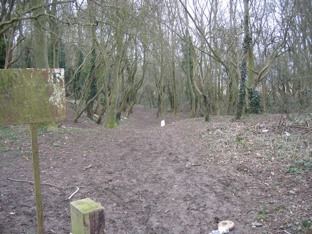 A disused ironstone quarry near Rothwell, part of the same Northamptonshire ironstone field worked around Corby.