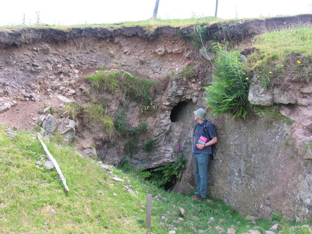 A man stands beside a low rock face of old barite workings, with a dark opening into the stope behind him and ferns and foxgloves growing above.