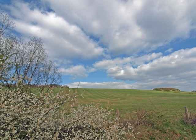 A green field rising gently under a cloudy sky, with blackthorn blossom in the foreground: the reshaped former Darfield Main spoil heap in 2012