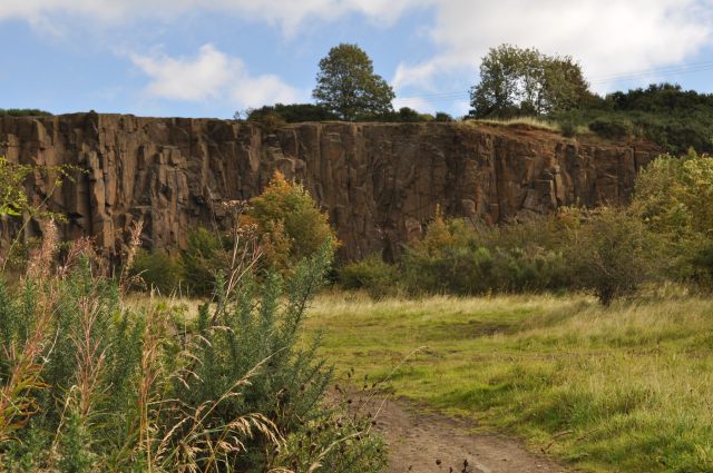 The disused rock faces of Fairykirk Quarry above Inverkeithing, part-screened by scrub and young trees growing in across the old workings