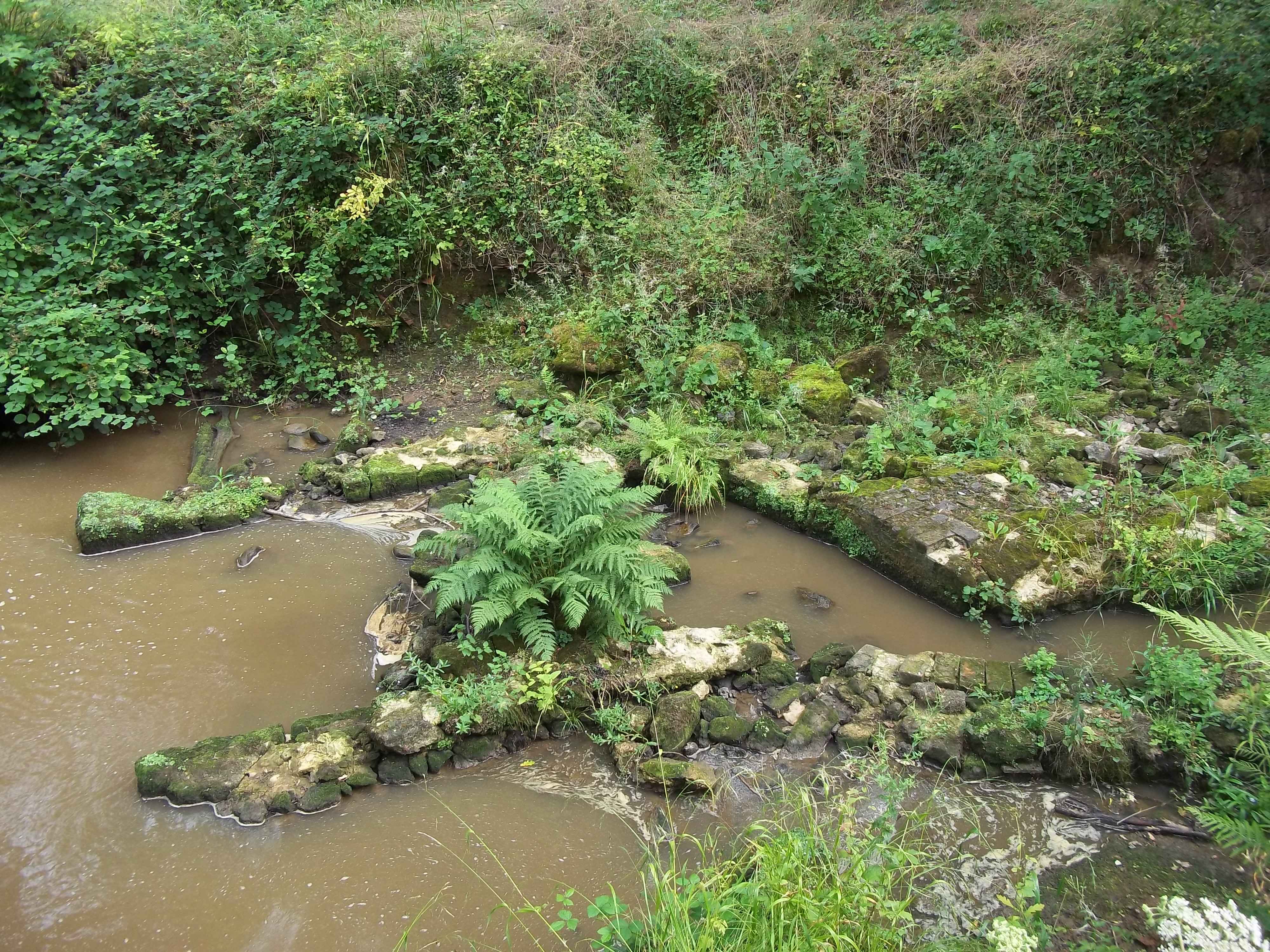 Surviving remains of North Park Furnace at Fernhurst, one of the best-preserved Wealden ironworks sites.