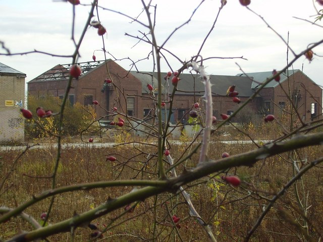 The derelict surface buildings of Firbeck Main Colliery, near Carlton in Lindrick, photographed before the site's eventual demolition.