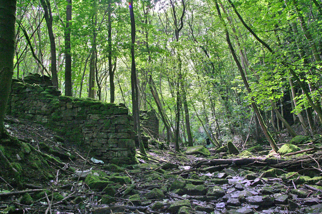 Old quarry buildings overgrown by woodland near Frosterley, showing the site's reclaimed, disused state.