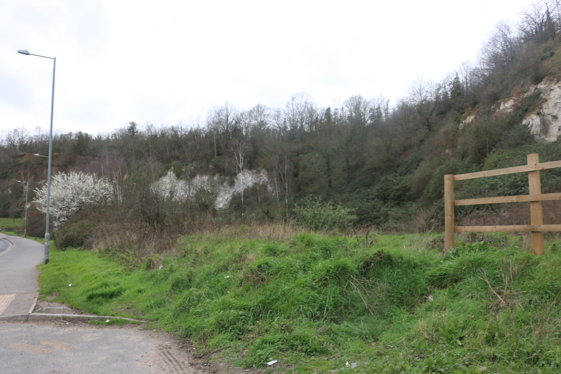 The former chalk quarry at Grays, its cliffs and slopes now colonised by woodland and scrub as part of Chafford Gorges Nature Park.
