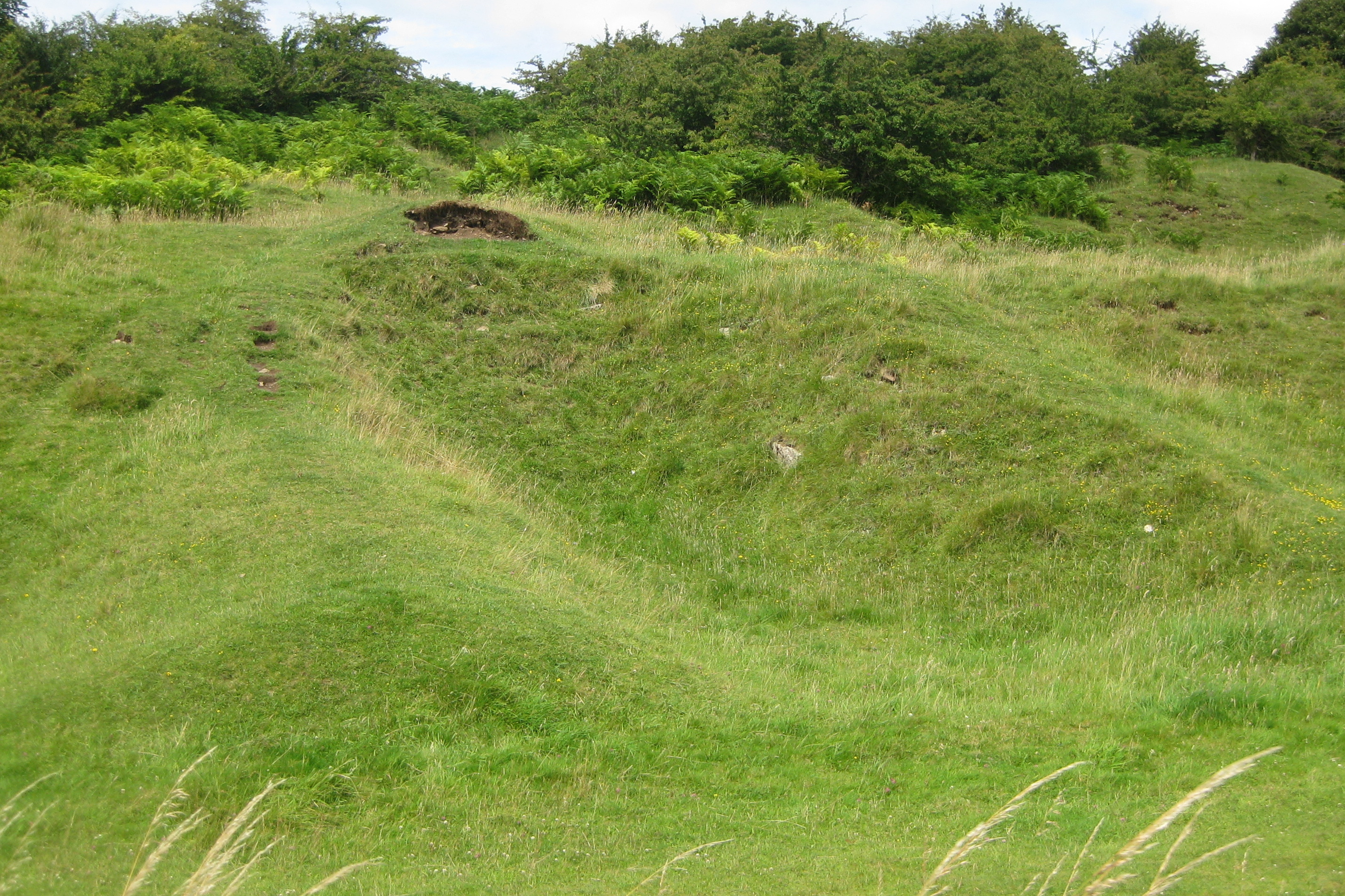 Surviving lead-mining remains at Charterhouse-on-Mendip, within the wider Charterhouse Lead Works scheduled monument that includes Grebe Swallet Mine.