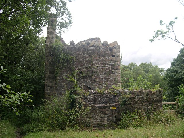 A roofless stone engine house standing among bare trees on the steep wooded slope above the Tamar at Gunnislake Clitters