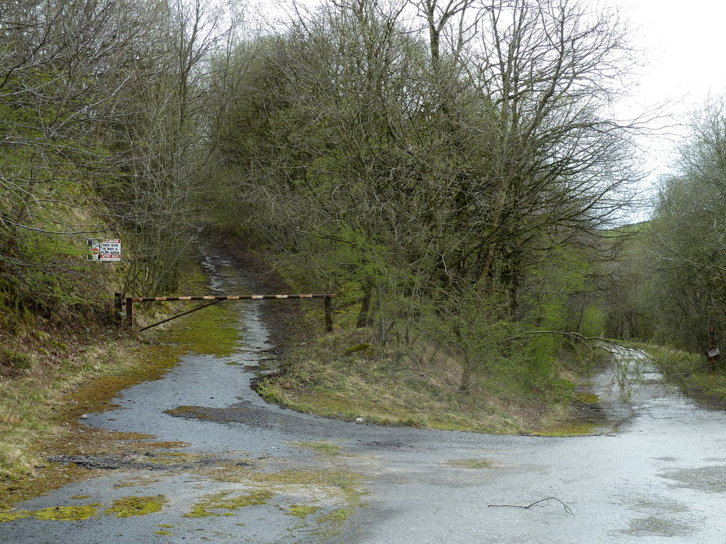 Haulage roads still traceable through woodland in the abandoned Hopton Wood quarry.