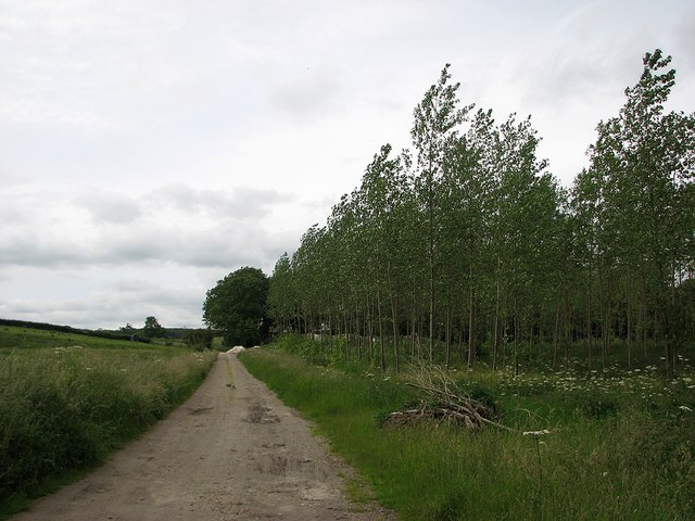 A grassy field and plantation marking the former site of Willow Close ironstone mine near Slipton, part of the Islip group