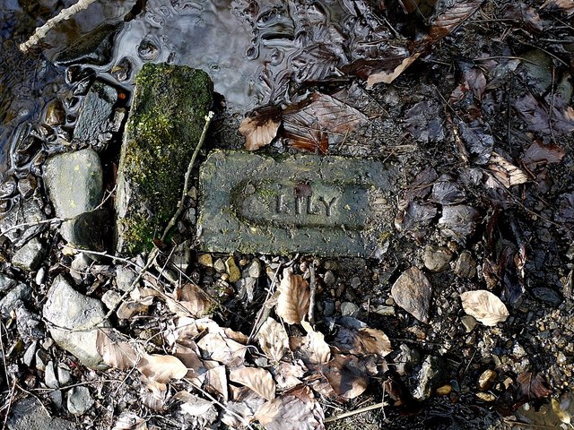 A moss-covered brick stamped LILY lying among stones and fallen leaves at the edge of a stream.
