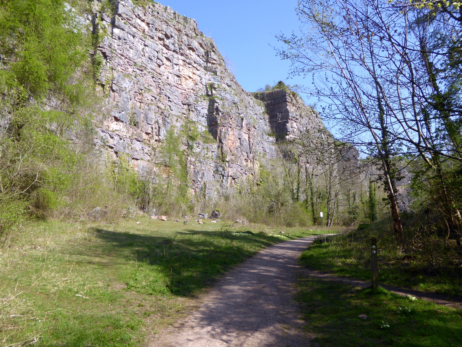 A limestone quarry face on Llanymynech Hill, now part of the Llanymynech Rocks Nature Reserve.