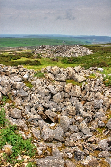Overgrown, disused mine shaft depressions on open moorland at Marrick Moor, Swaledale.