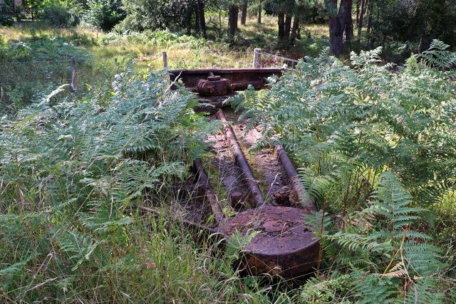Surviving deteriorated pumping machinery on the former New Fancy Colliery site in West Dean, Gloucestershire, photographed among woodland vegetation.