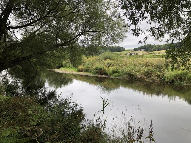 A still river bend framed by overhanging willow branches, with reeds on the far bank and green fields and woods beyond under a grey sky