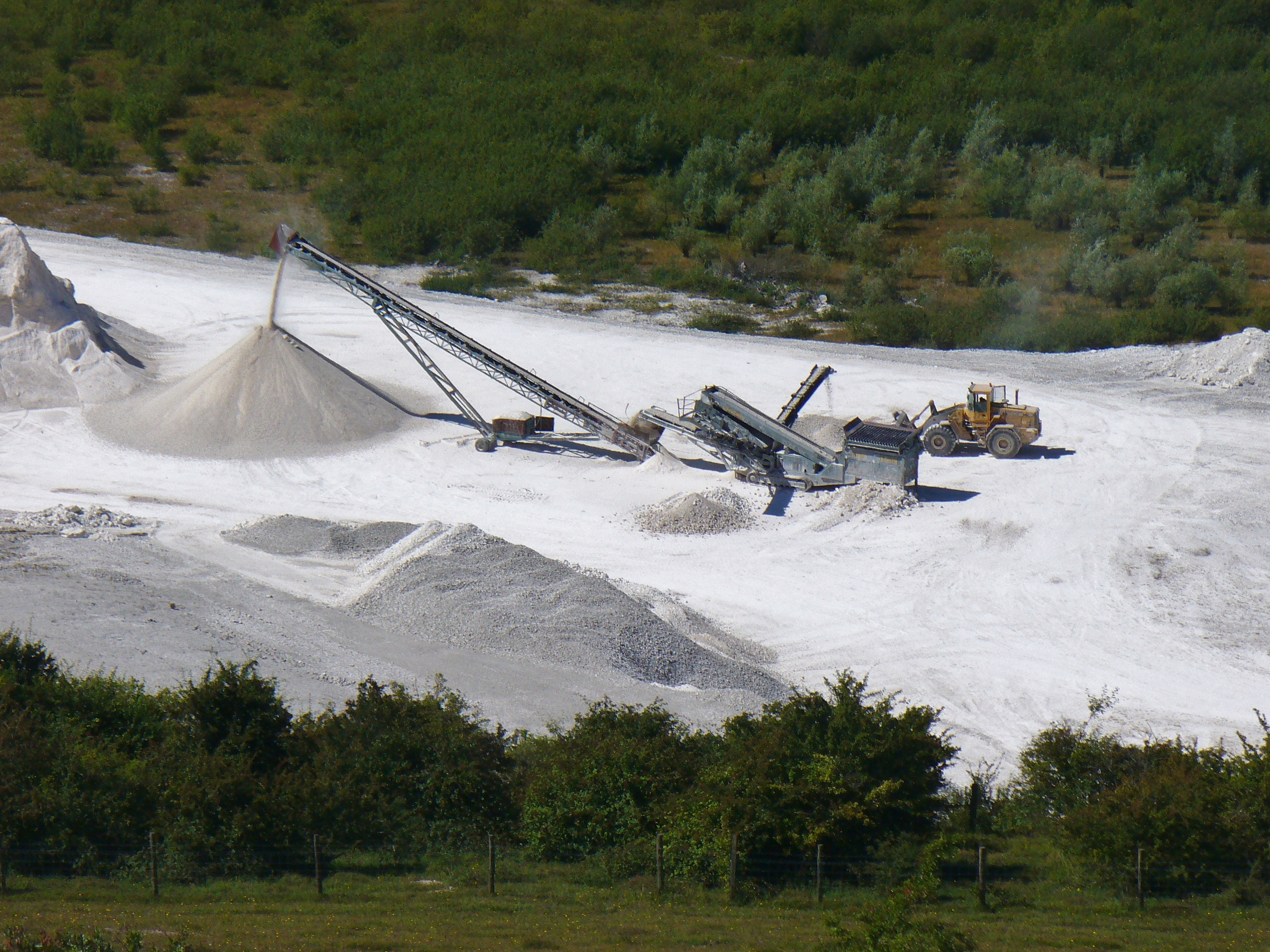 The worked chalk face of the quarry at Pitstone, beneath the Chiltern escarpment.