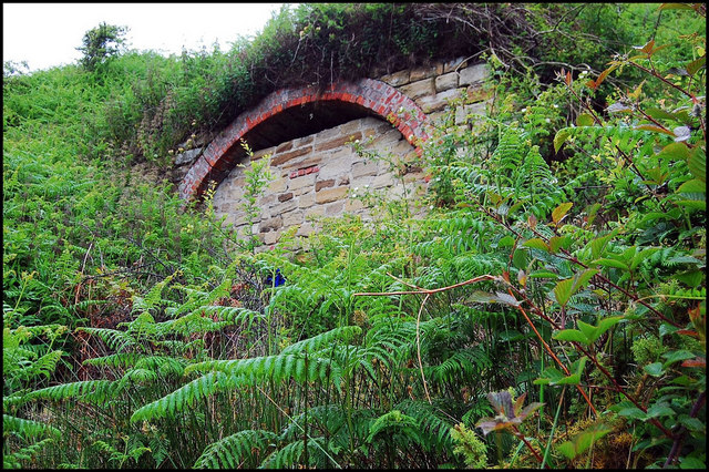 The blocked-up entrance to Port Mulgrave Mine, around 50 feet above high water near the harbour remains