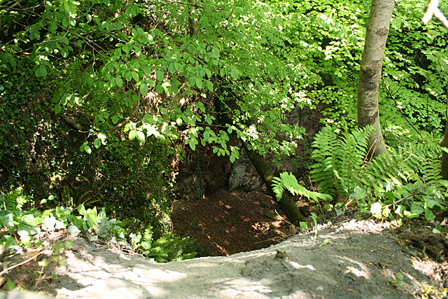 A deep shaded cutting among ferns and young trees, dropping towards a dark opening in the rock.