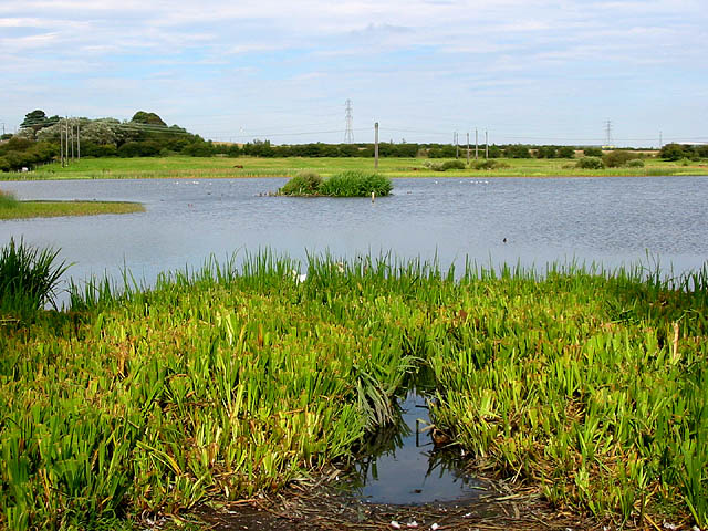 Open grassland and water at Rising Sun Country Park, the reclaimed site of Rising Sun Colliery between Benton and Wallsend.