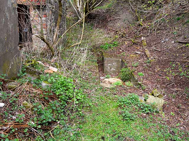 Mossy stone and concrete footings among brambles and bare trees beside a ruined brick wall at the old colliery.