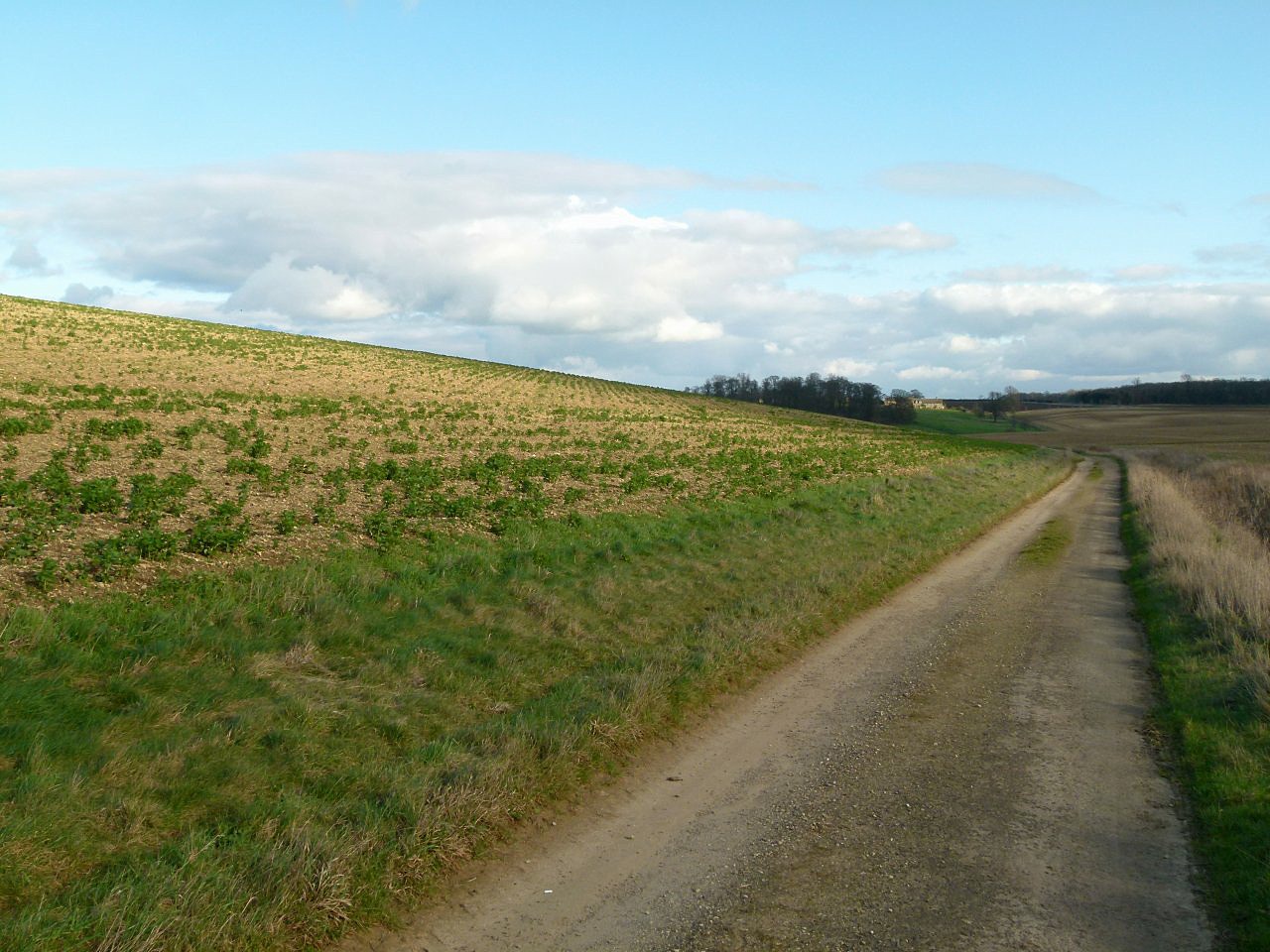 Restored farmland on the site of the former Exton Park ironstone quarries in Rutland.