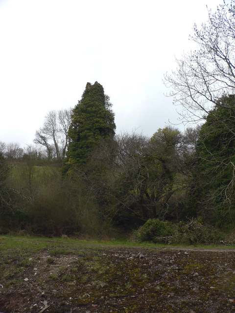 Tailings dumps and building ruins, including an ivy-covered former engine tower, at Silverbrook Mine, Ilsington