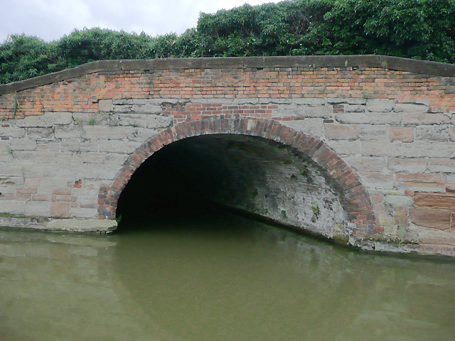 The surviving canal arm cut to serve the salt works at Stoke Works.