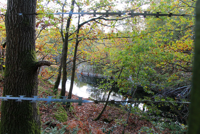 A flooded slate quarry in woodland, its dark rock faces rising directly from deep still water behind a safety fence.