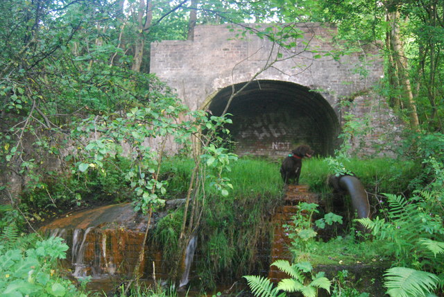 A brick arch blocked with brickwork, set in an overgrown bank among trees, with water running out in front.